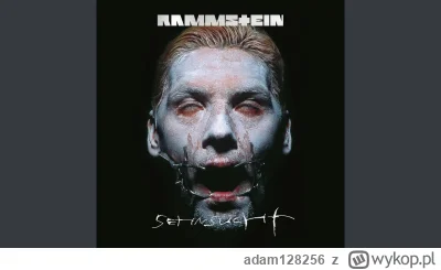 adam128256 - #muzyka #rammstein