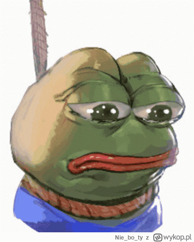 Nieboty - POV: wyborca Konfiguracji gdy jednak wejdą w koalicję z PISem.
 (via mejle ...