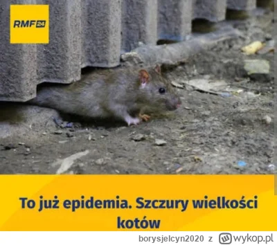 borysjelcyn2020 - #gielda #meczennicyxtb