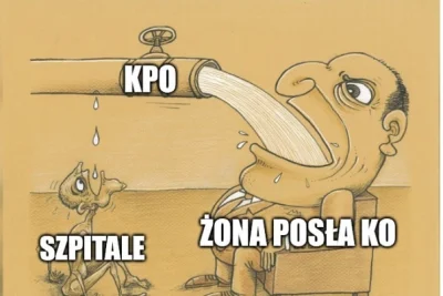 g0blacK - #kpo #afera #polityka #polska #bekazlewactwa #bekazlibka