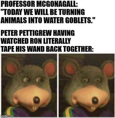 Trzesidzida - #harrypotter