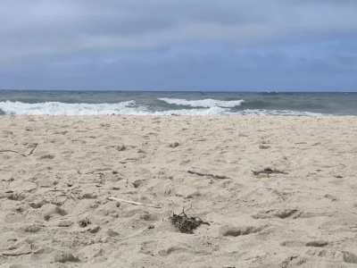 koniolizator - #ciekawostki Liczba ziarenek piasku na plaży jest większa niż liczba a...