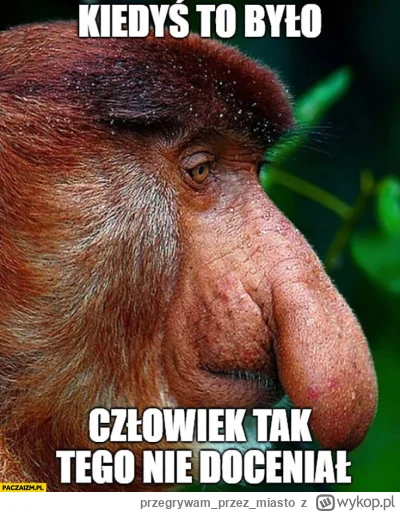 przegrywamprzezmiasto - Eh w 2021 dostałem pierwsza pracę w IT po tym jak na rozmowie...