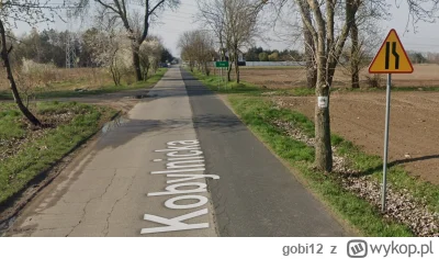 gobi12 - @voot: Plus tam jest szlak rowerowy (jak widać na zdjęciu ze StreetView), wi...