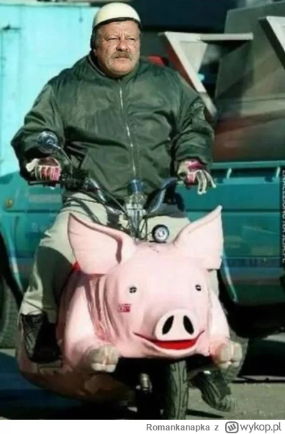 Romankanapka - #kononowicz #patostreamy