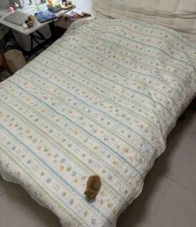 Umeraczyk - Roztocza