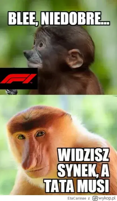 Janusz_Rekina - #f1 ( ͡° ʖ̯ ͡°)