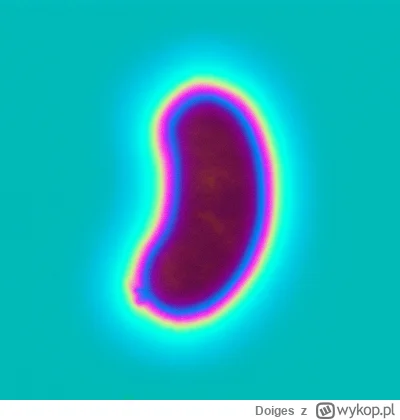 Doiges - #kononowicz #barnej #kaszanka POV: Jesteś Bornegiem, zamykasz oczy i widzisz...