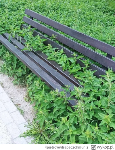 4pietrowydrapaczchmur - Ławka lecznicza.

#heheszki #polska