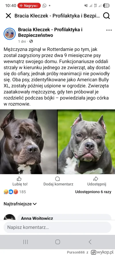 Purson666 - @WielkiNos: