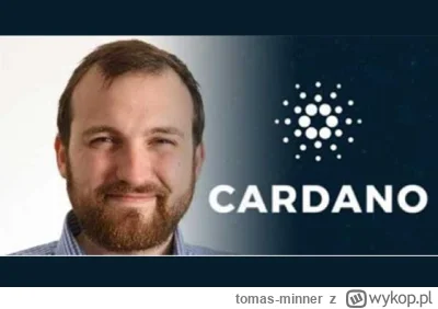 tomas-minner - Charles Hoskinson: „Cardano jest największym zagrożeniem dla Bitcoina”...