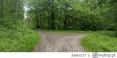 Zwierz33 - Huop na rozstaju dróg życiowych ¯\(ツ)/¯
Nie wie jaką drogę wybrać ? (งⱺ ͟ل...