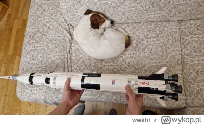 wwkbt - Jest wielka (pies dla skali) #lego