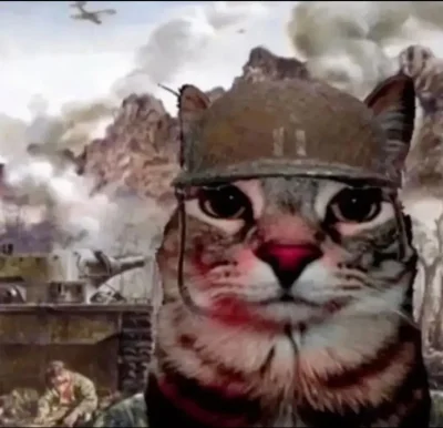 elbanos - spadnie jeszcze dzisiaj, czy już koniec?
#gielda #xtb  #menczennicyxtb