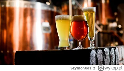 SzymonXes - Znajomy będzie otwierał bar z lokalnym piwem craftowo-rzemieślniczym w Wa...