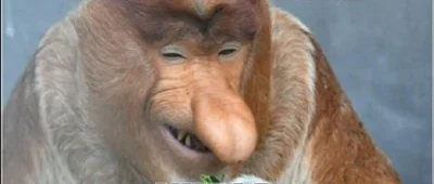 t4f9oy55 - @NevermindStudios: Co sąsiedzie urlop wzięty i nad morze miało się jechać?