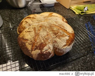 mac666 - Chleb pszenny na zakwasie z dynią zgapiony z internetów, co to miał dynię pr...