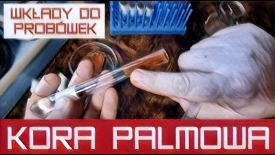 AntHunter - ???? Kora Palmowa - Wkłady do probówek hodowlanych dla mrówek #mrówki