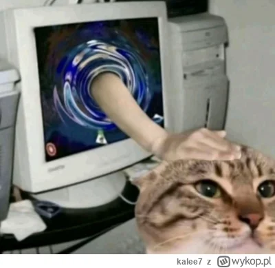 kalee7 - @Lujdziarski ᶘᵒᴥᵒᶅ