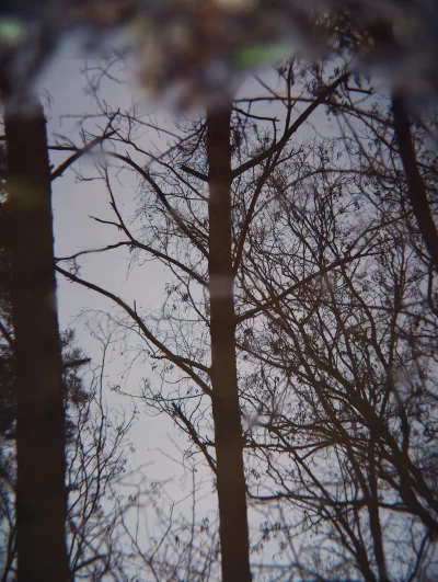 KrzysztofWu - @KrzysztofWu: