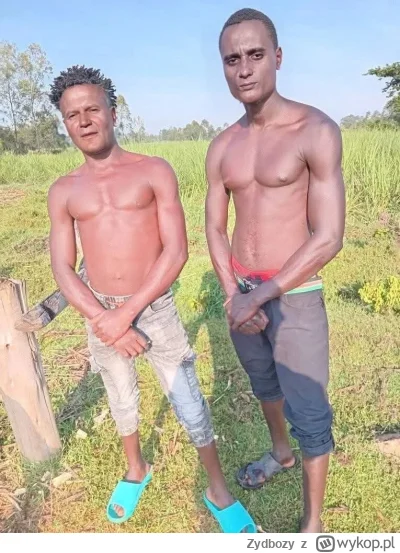 Zydbozy - Są i pierwsi imigranci złapani przez patrol obywatelski ochrony granic 
#po...