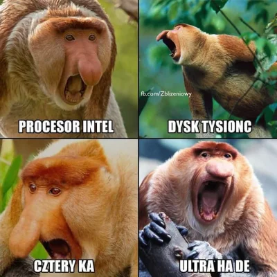 paczelok - ! #konkursnanajbardziejgownianymemznosaczem