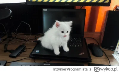 InzynierProgramista - Ktoś przyszedł w odwiedziny (｡◕‿‿◕｡)

A tak na marginesie: jeśl...