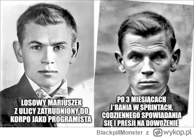 BlackpillMonster - #programista15k #programowanie #pracait #korposwiat