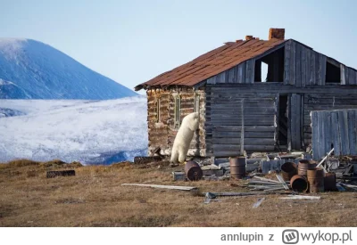 annlupin - co tam sobie słuchasz