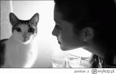 ponton - #rolnikszukazony