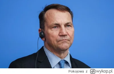 Pokojowa - Minister spraw zagranicznych Polski wzywa do długoterminowego zbrojenia Eu...