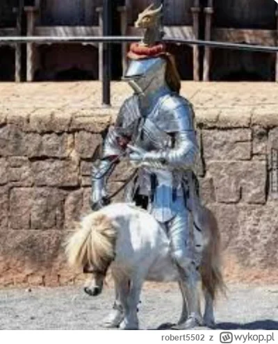 robert5502 - Tak na szybko, kilka określeń/zdjęć świadczących, że masz do czynienia z...