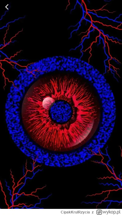 CipakKrulRzycia - #zfacebooka #iluzjaoptyczna