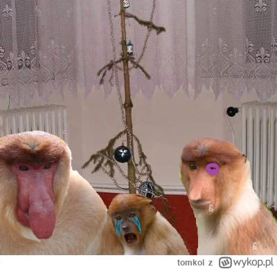 tomkol - #konkursnanajbardziejgownianymemznosaczem 
Magiczny czas, świąteczny czas..