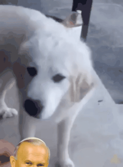 MrS3lfD3struct - #2137