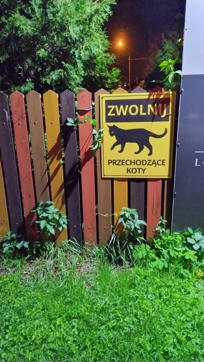 Fantomo - #koty #heheszki #bielskobiala

W Bielsku-Białej prowadzona jest kampania na...