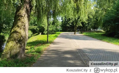 KoszalinCity - Trasa rowerowa dookoła Koszalina portalu KoszalinCity.pl!

- Długość t...