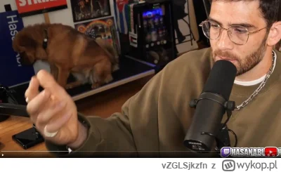 vZGLSjkzfn - @fidelio-fidelio: typowy wyborca lewaków