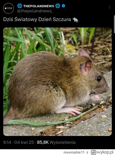 meemphis11 - Najlepszego Szalony 
Baxton chyba też będzie dziś świętował 

#famemma