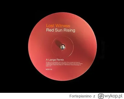 Fortepianino - Lost Witness - Red Sun Rising #muzyka #techno