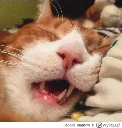 leonid_bialkow - @annlupin: cze dla ciebie