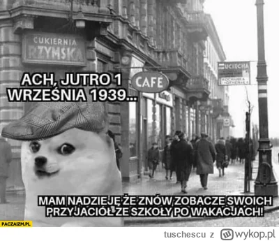 tuschescu - #heheszki #humorobrazkowy #memyhistoryczne #piesel #pierwszywrzesnia #dog...