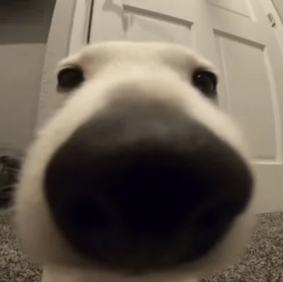 psspspspsp - @Teuvo: