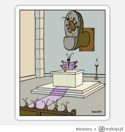 Niedobry - @robertkk: