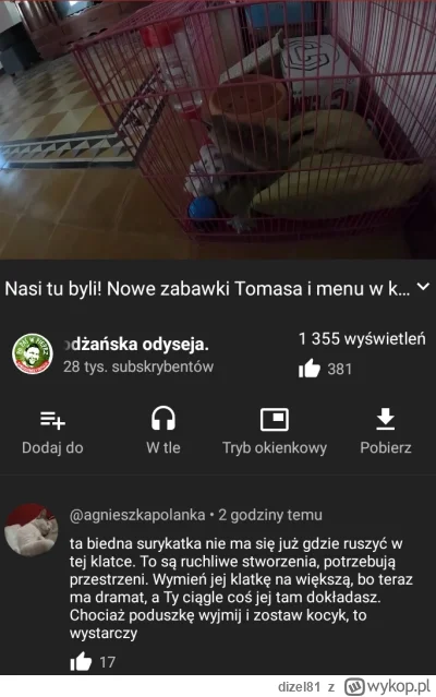 dizel81 - Gapa wpierdzielił pudełko po Cambodii surykatce do klatki😀
#raportzpanstwa...