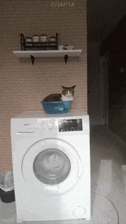 wfyokyga - Ale faza ludź, co się dzieje