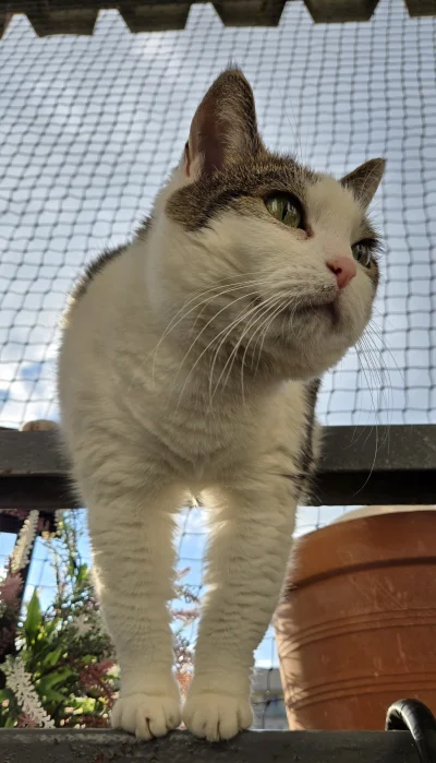 Solsith - @Pietruchoowy: ( ͡° ͜ʖ ͡° )つ──☆*:・ﾟ