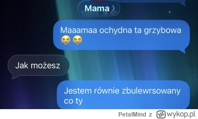 PetalMind - Złamałem dzisiaj serce swojej mamie [*]
Tak wiem pisze sie ohydna