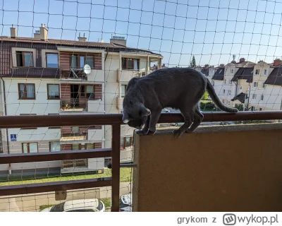grykom - @Atreyu: robiłem samemu ale nie wiem czy bym się podjął ponownie. Człowiek m...