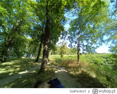 GuPerko1 - @spawngdapl: Kłodzko, blisko granicy Czech. Są tutaj niesamowite góry i wi...